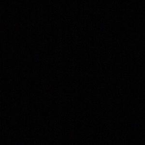 Meet your Posher, Weston